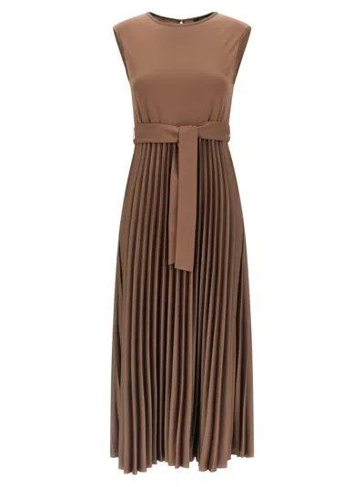 Max Mara 'samuele' Dress In Brown