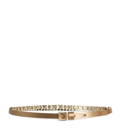 Max Mara Satin Embellished Belt In Brown