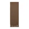 Max Mara Cashmere Dalia Scarf Fringed Hem In Brown