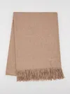 Max Mara Baci Scarf In Brown
