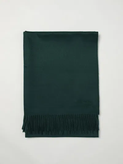 Max Mara Scarf Woman  In Blue