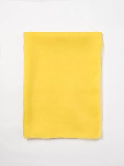 Max Mara Scarf Woman  In Brown