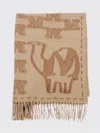 Max Mara Scarf Woman  In Brown