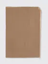 Max Mara Silk Scarf Rectangular Shape Lightweight Frayed Edges In Brown