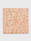 Max Mara Eclectic Geometric Pattern Scarf In Brown