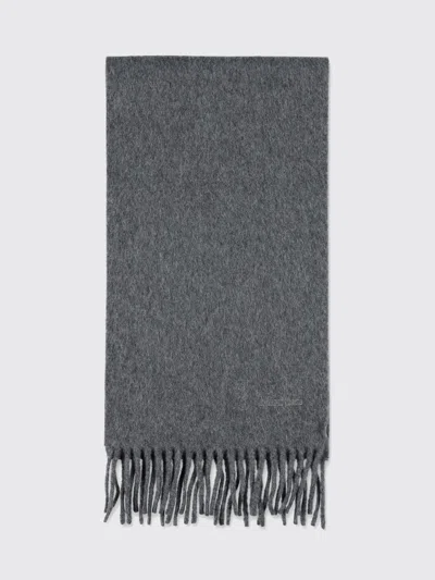 Max Mara Scarf Woman  In Gray