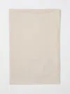 Max Mara Fringed-trim Scarf In Neutral