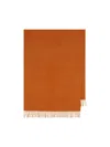 Max Mara Fringed Cashmere Scarf In Brown