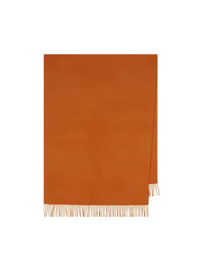 Max Mara Scarves In Brown