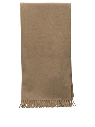 Max Mara Scarves In Brown