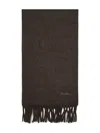 Max Mara Scilli Fringed Scarf In Brown