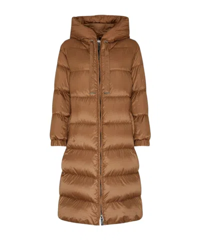 Max Mara Seipa Cotton Clothes In Caramel