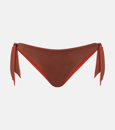 Max Mara Sella Bikini Bottoms In Brown