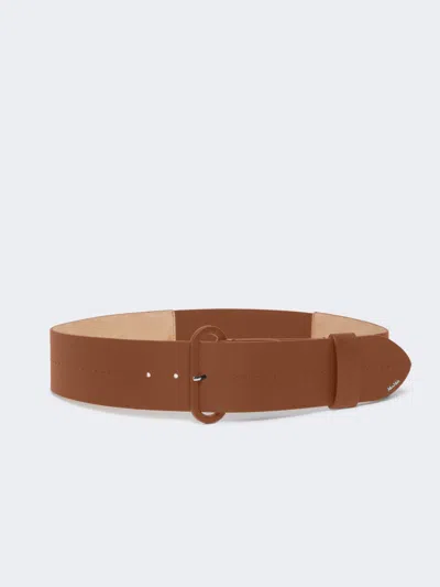 Max Mara Semi-glossy Leather Belt In Brown