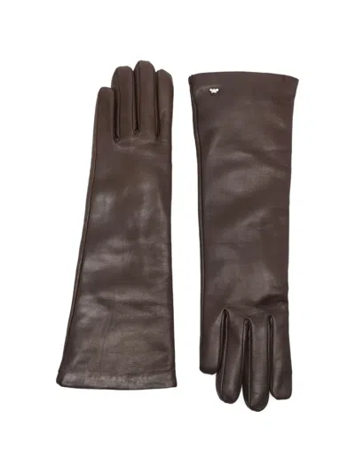 Max Mara Senape Long Length Gloves In Brown