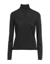 Max Mara Adda Turtle Neck Cashmere Sweater In Grey