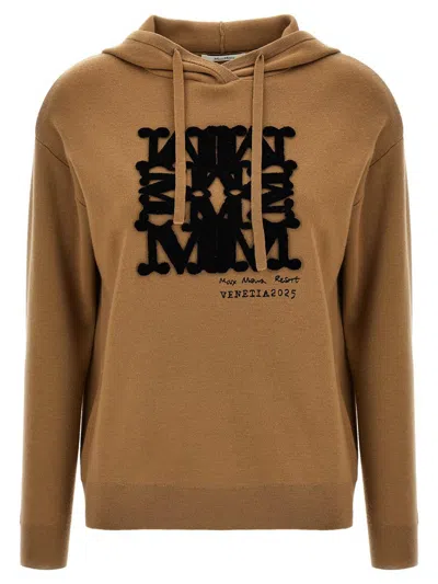 Max Mara 'sfinge' Hoodie