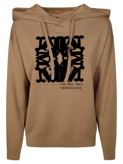 Max Mara Sfinge Maglia Cappuccio Logo In Marrone