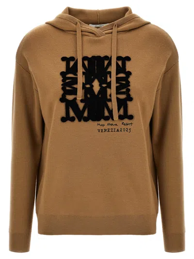 Max Mara Sfinge Sweatshirt Brown