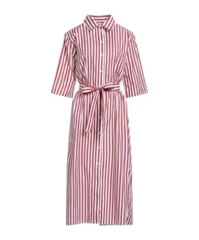 Max Mara Woman Midi Dress Cocoa Size 10 Cotton In Brown
