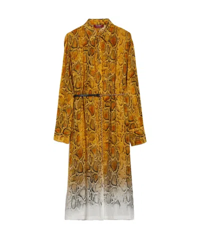 Max Mara Shirt-style Long-sleeved Dress In Brown