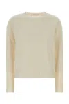 Max Mara Cashmere Cinema Crew Neck Sweater In Brown