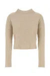 Max Mara Crewneck In Clear Dad.