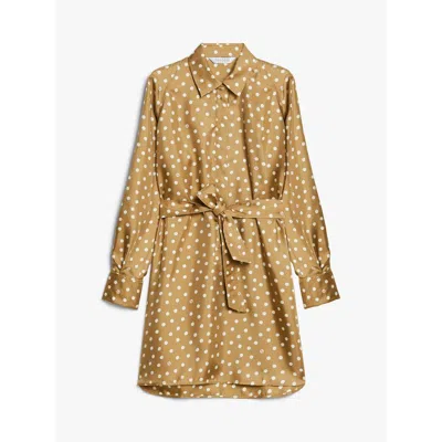 Max Mara Shock Silk Shirtdress In Brown