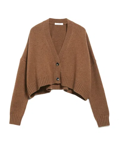Max Mara Short Cardigan Of Wool And Cashmere In Brown