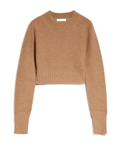 Max Mara Short Cashmere Sweater In Nude