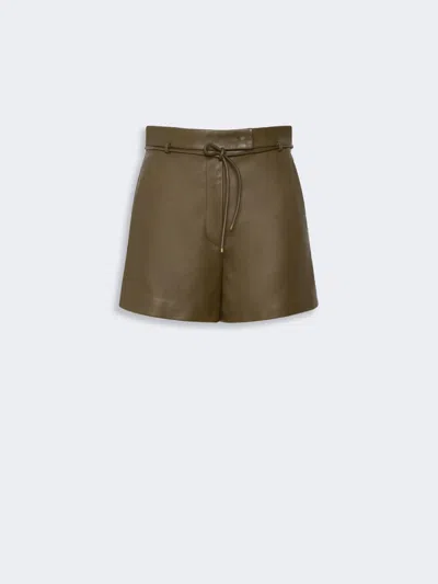Max Mara Short En Nappa Naturel In Brown
