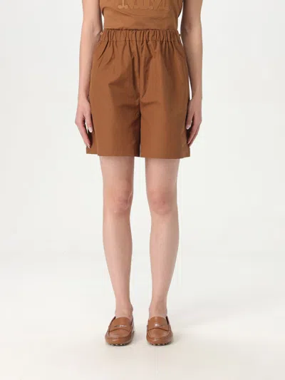 MAX MARA SHORTS MAX MARA WOMAN COLOR BROWN,G66366032