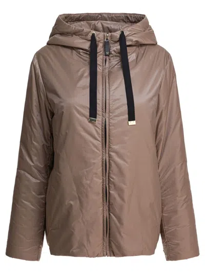 Max Mara Short Padded Jacket With Hood In Gray