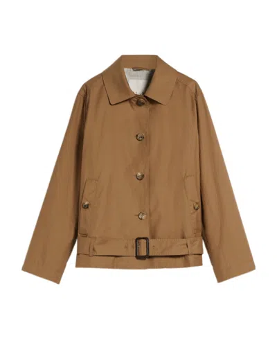 Max Mara Short Single-breasted Trench Coat In Brown