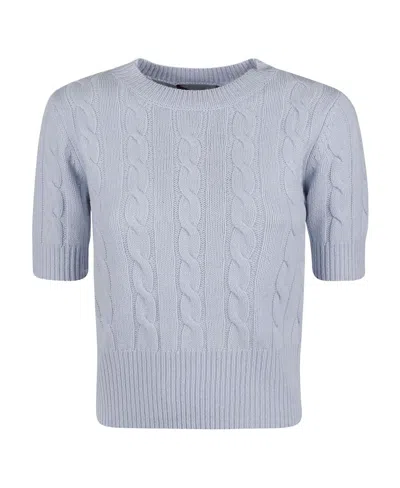 Max Mara Short-sleeved Round-neck Sweater In Blue