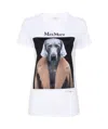 Max Mara Cipria T-shirt In White