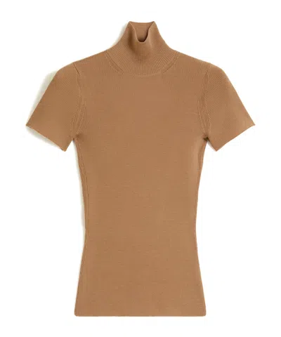 Max Mara Short-sleeved Tops In Brown
