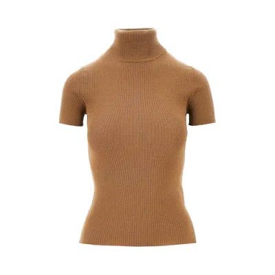Max Mara Afa Virgin Wool Turtleneck Sweater In Brown