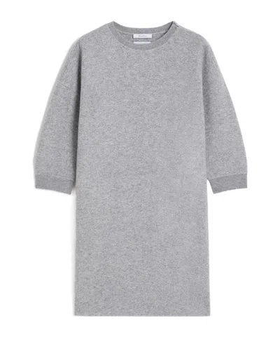 Max Mara Short, Wool And Cashmere Jersey Dress In Gray