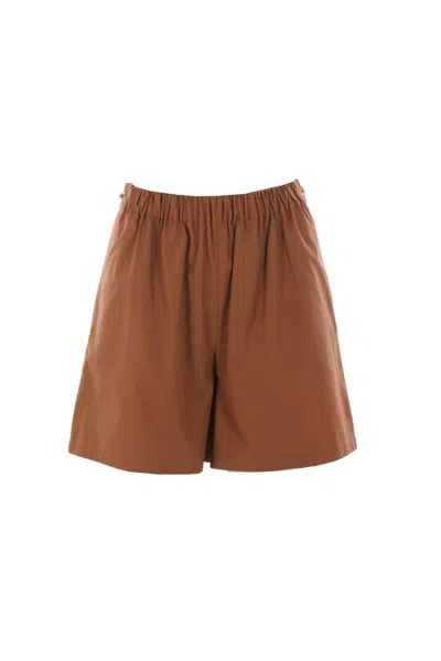 Max Mara Shorts