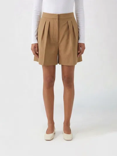 Max Mara Shorts  Woman Color Brown