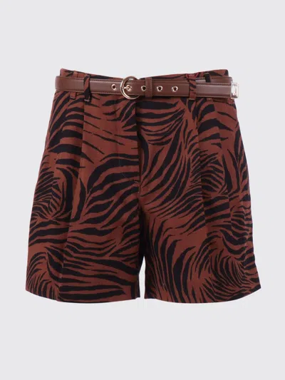 Max Mara Shorts Woman  Studio In Brown