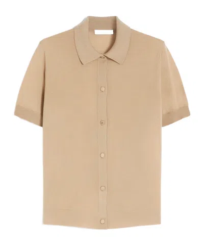 Max Mara Short-sleeved Wool Cardigan In Neutral