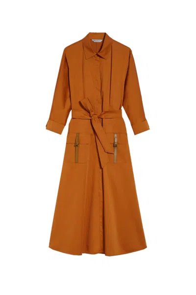 Max Mara Sibari Dress In Orange