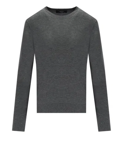 Max Mara Sicilia Grey Crewneck Sweater In Gray