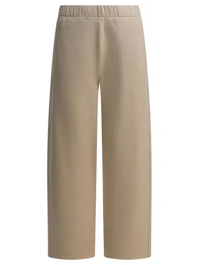 Max Mara Silk Blend Pants "filovia" In Brown