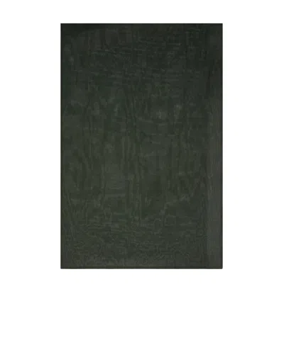 Max Mara Silk-blend Shawl In Moss Green