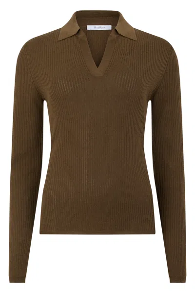 Max Mara Silk-cashmere Blend Polo In Brown