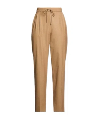 Max Mara Simple Stretch Tapered Pants In Brown