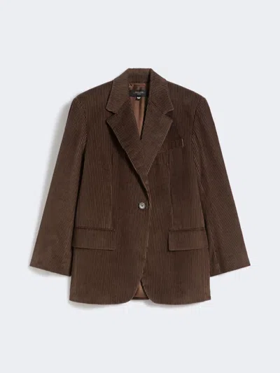 Max Mara Single-breasted Velvet Blazer In Brown